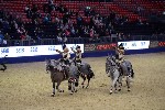 Quadrille - 00836